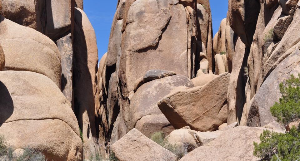 Joshua Tree