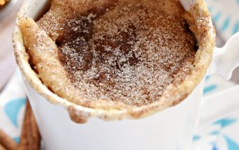 Cake in a Mug Recipies