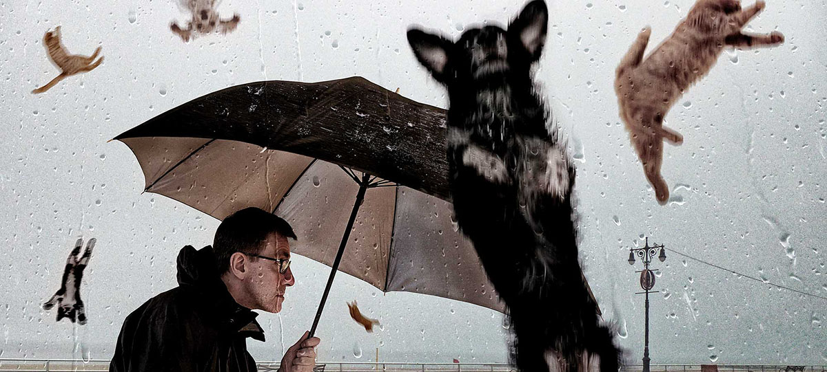 "Raining Cats and Dogs" by David Blackwell on Flickr. Used with a (CC BY-ND 2.0) license. https://www.flickr.com/photos/mobilestreetlife/12505752913