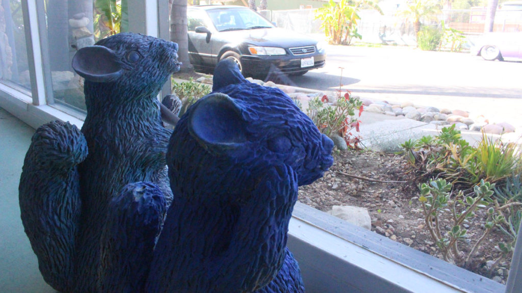 The Squirrels of Los Molinos Street in San Clemente have been in residence for several years. (Jon Boardman)