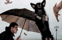 "Raining Cats and Dogs" by David Blackwell on Flickr. Used with a (CC BY-ND 2.0) license. https://www.flickr.com/photos/mobilestreetlife/12505752913